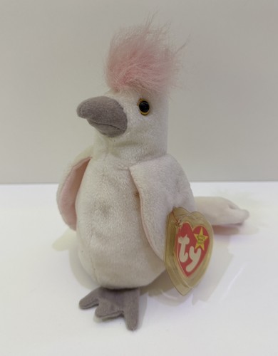 Kuku the cockatoo bird - cockatoo, ty