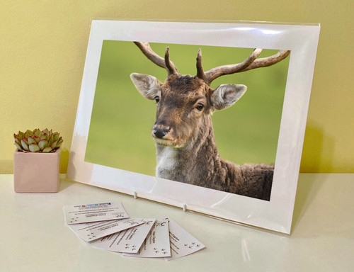 Art print image - print,