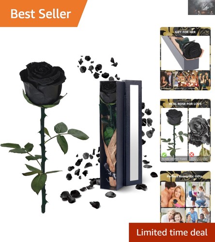 Long lasting black - long-lasting,