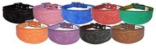 Leather Dog Collar Whippet