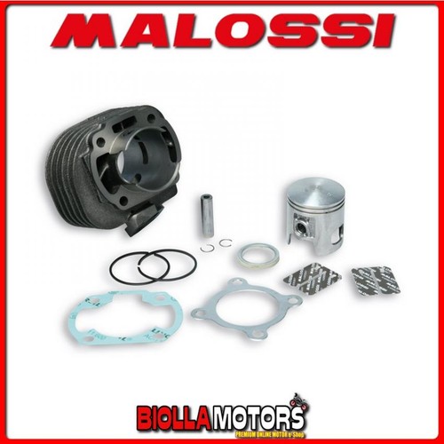 317002 thermal group - 317002, malossi