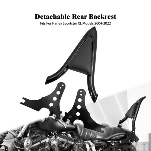 Detachable passenger sissy - detachable,