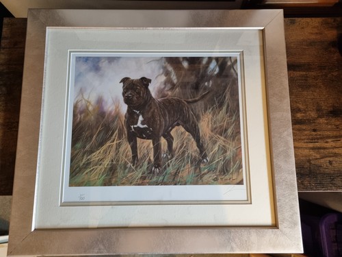 Staffordshire bull terrier - staffordshire,