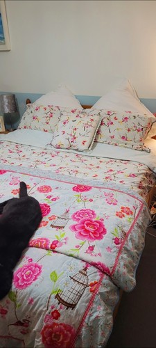 Pip studio bedding - pip,