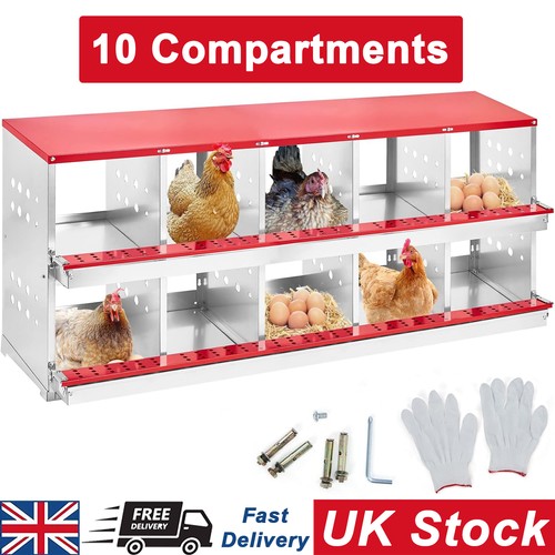 Compartments chicken - 10,