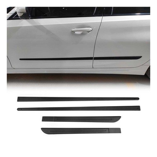 Side door molding - door, skirt