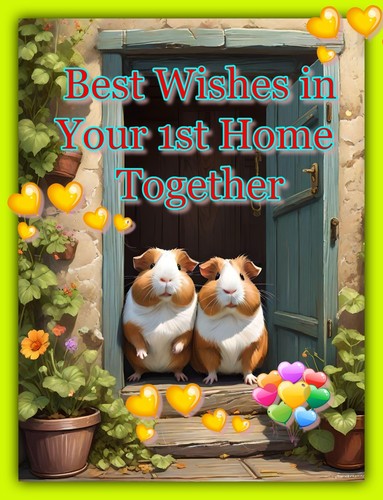 Best wishes your 1st - 1st, home