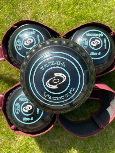 Taylor vector lawn bowls - vector,