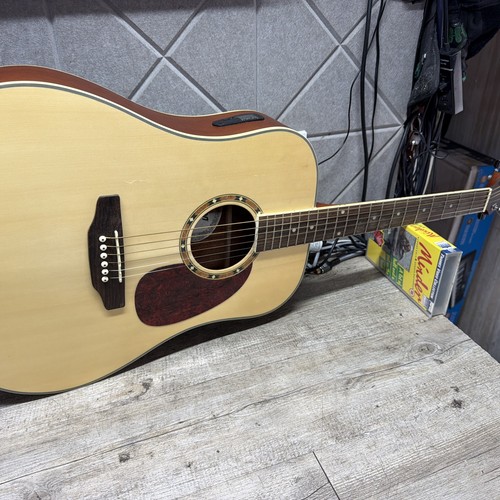 Ashton acoustic guitar dm25nt - acoustic,
