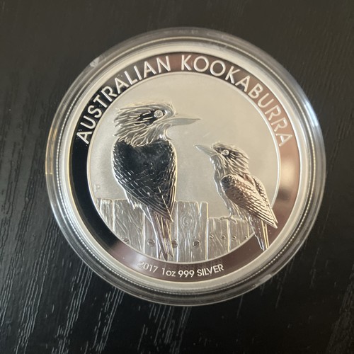 Australian kookaburra 999 - australian,