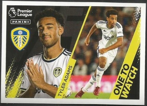 Panini 2023 premier league - panini,