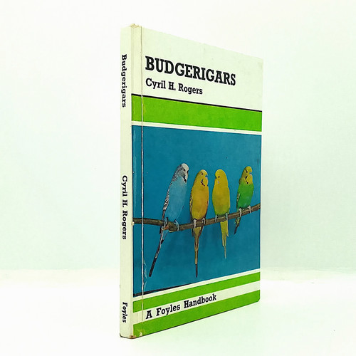 Budgerigars cyril rogers - by,