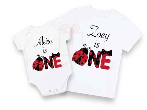 1st birthday ladybird ladybug
