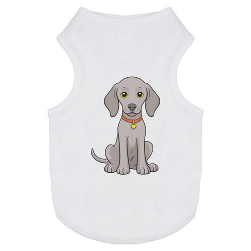 Weimaraner puppy pet - pet, dog