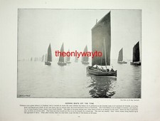 Herring Boats Off The Tyne And