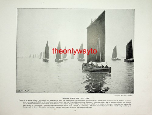 Herring boats off the - the, tyne