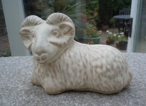 Studio ram horned ewe - horned, sheep
