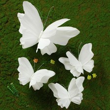 SUNBEAUTY Large White