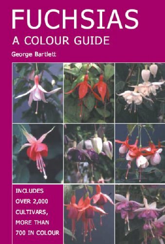 Fuchsias colour guide by - a,