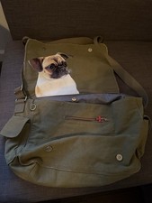 Fuzzy Nation Pug Dog Purse