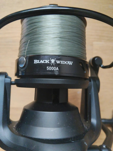 Daiwa black widow - widow, pit