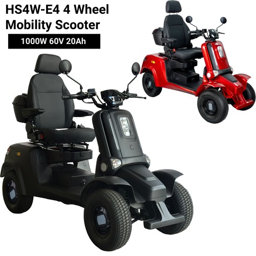 Wheel electric mobility - 4,