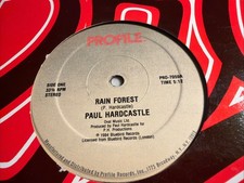 Paul Hardcastle Rain Forest