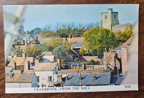 Cranbrook from the mill - from,