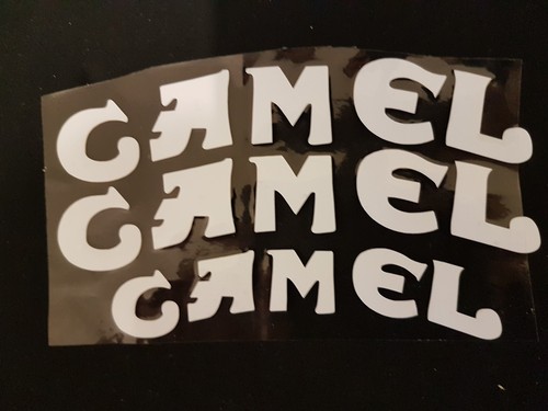 St077 set x camel - of,