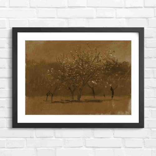 Blooming orchard trees spring - blooming,