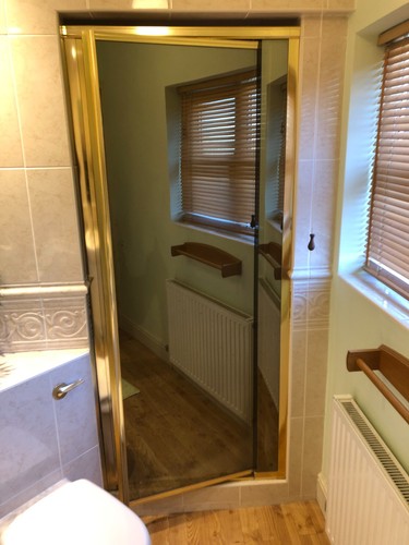 Shower door