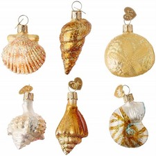 Assorted Sea Shells Old World