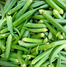Vegetable - Okra Clemson Spineless - 200 Seeds - Okra
