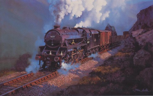 Lms black scottish - black,