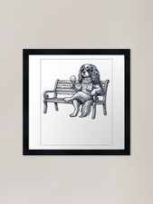 Cavalier King Charles Spaniel