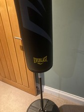 everlast punch bag