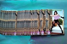 Exclusive Bespoke Adult