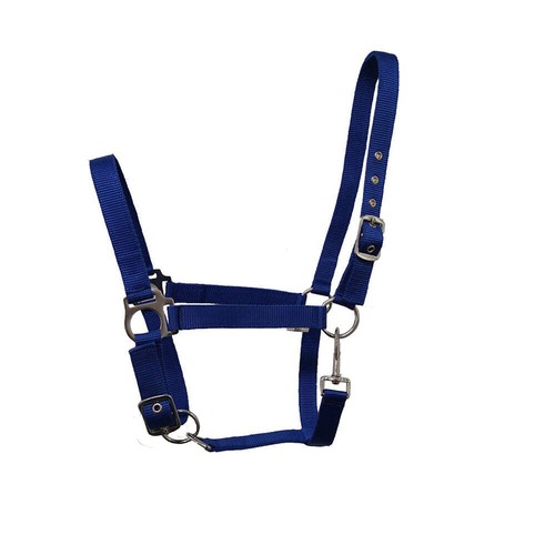Equestrian country horse - gs,