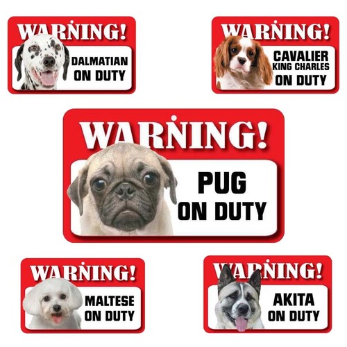 Pet dog warning - dog,