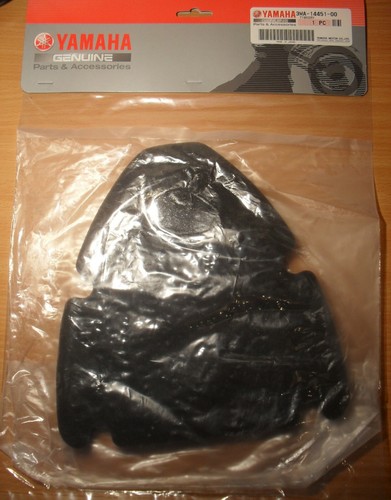 Yamaha tzr250 air filter - tzr250,