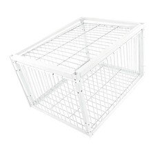 Pigeon trap cage - pigeon, bird