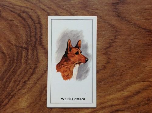 Tea dogs heads welsh - tea,