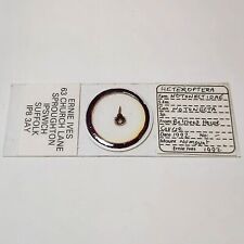 Notonecta sp. - Vintage Ernie Ives Insect Microscope Slide
