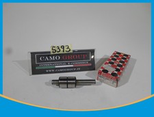 Small Tree with Bearing Water