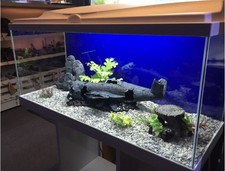 Brand new large - large, tank
