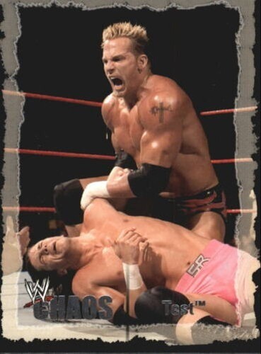 B3338 2004 fleer wwe - 2004,