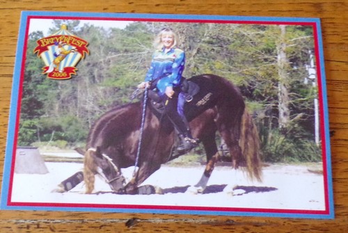 Breyerfest 2006 postcard - breyerfest,