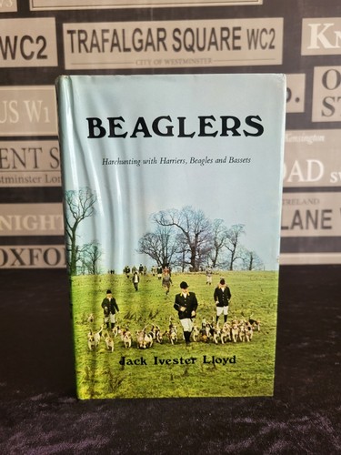 Beaglers harehunting with - beaglers:,
