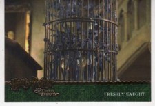 Harry Potter Chamber Of Secrets Base Card #36 Freshly Caught
