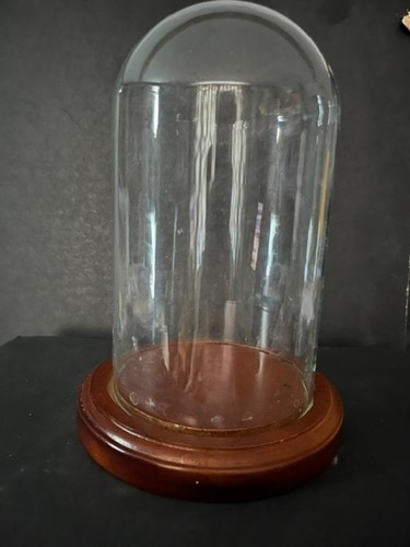 Glass dome display - glass,